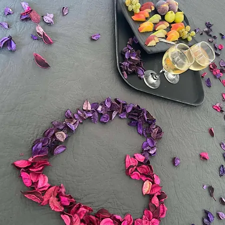 Porto 게스트하우스 블리하다