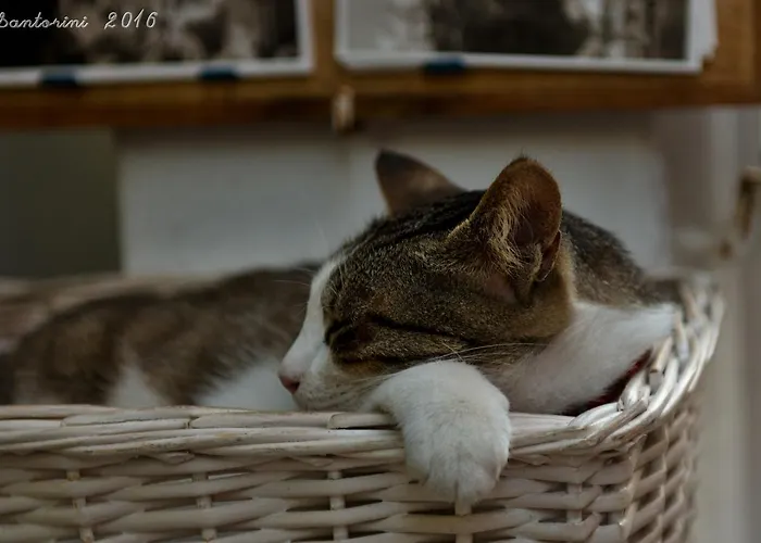 ゲストハウス Porto ヴリハーダ