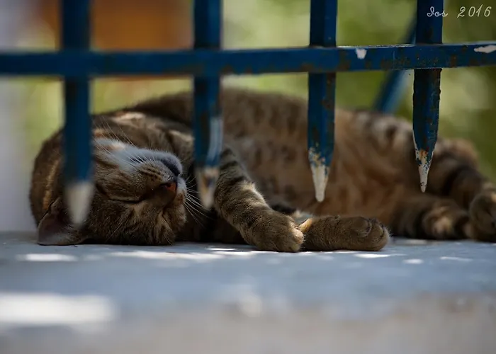 Porto 4* ヴリハーダ